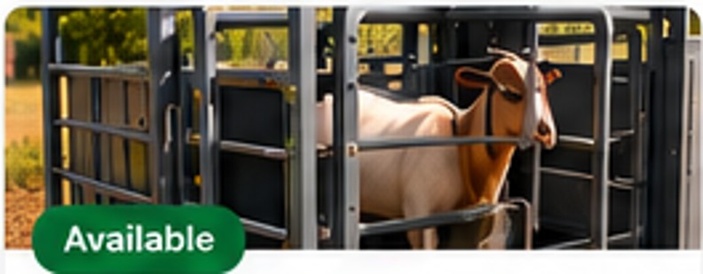 Livestock weighing and handling equipment